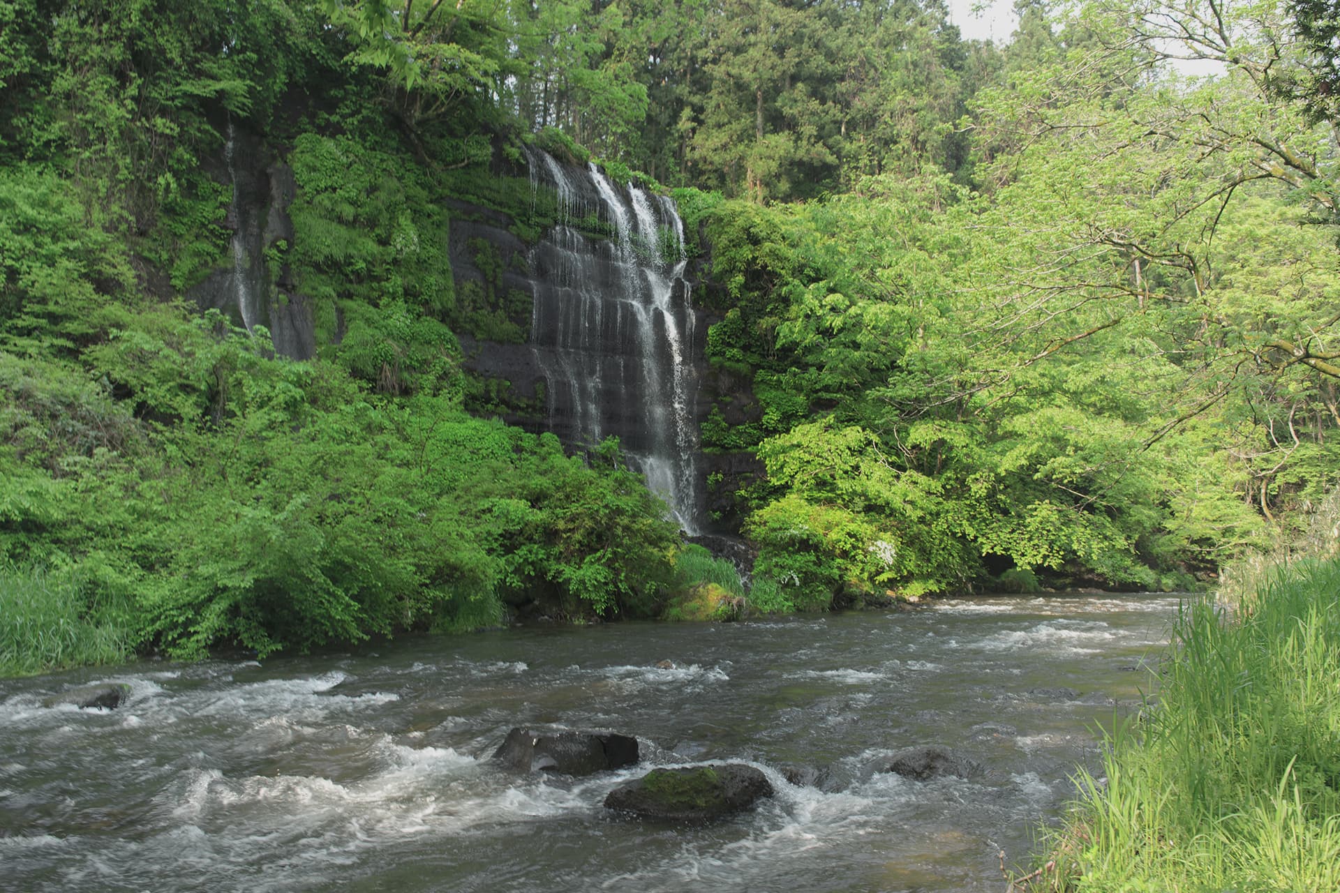 石鹸ひとつで地球の未来を変える