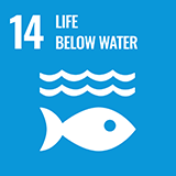 Goal 14: Protect the richness of the ocean